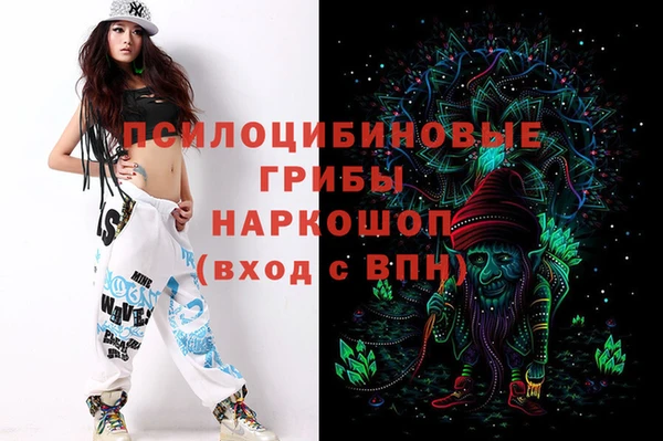 хмурый Новочеркасск