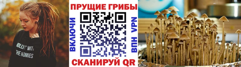 omg маркетплейс  Приморско-Ахтарск  Галлюциногенные грибы Cubensis 
