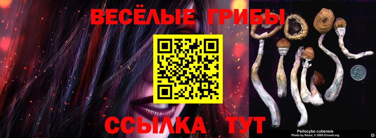 Галлюциногенные грибы Psilocybine cubensis Приморско-Ахтарск