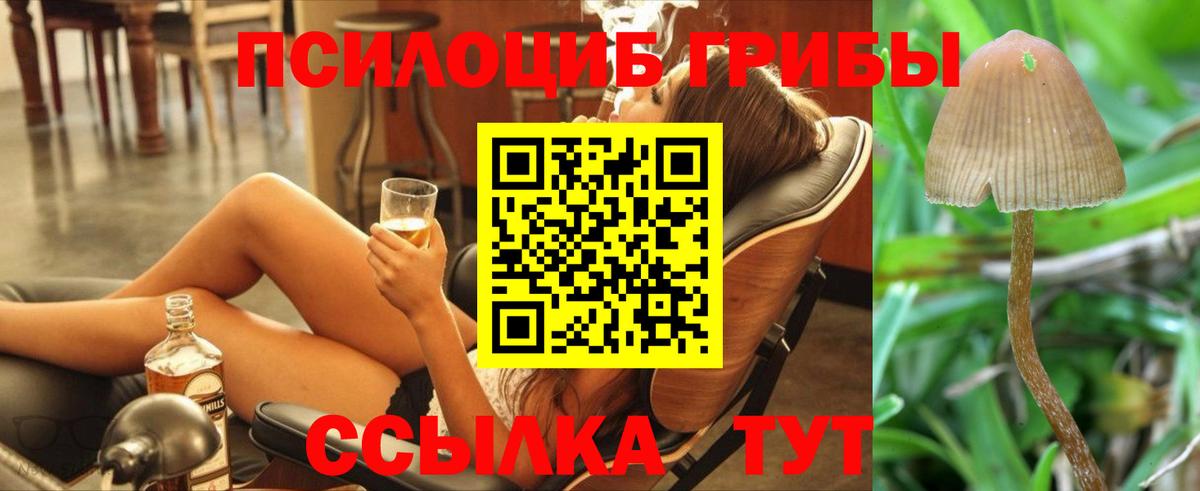 Приморско-Ахтарск  Псилоцибиновые грибы Cubensis  Вход с VPN 