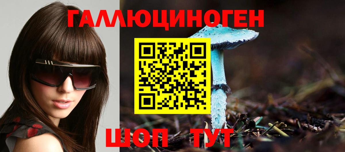 Приморско-Ахтарск  Галлюциногенные грибы Psilocybine cubensis  Вход с VPN 